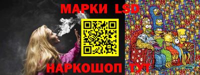 spice Кингисепп