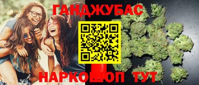 spice Кингисепп