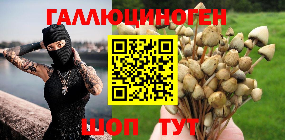 Новокуйбышевск  Галлюциногенные грибы Psilocybine cubensis  Вход с VPN 